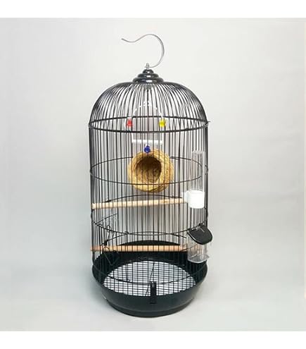Amazon | Aeon hum 鳥かご 鳥ケージ 大型 豪華ケージ 大きい インコ